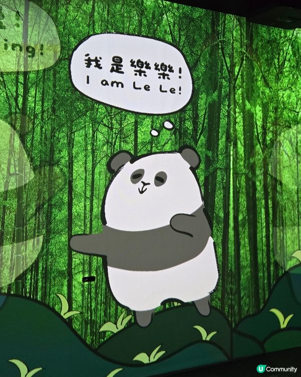 海洋公園🐼大熊貓竹夢之旅