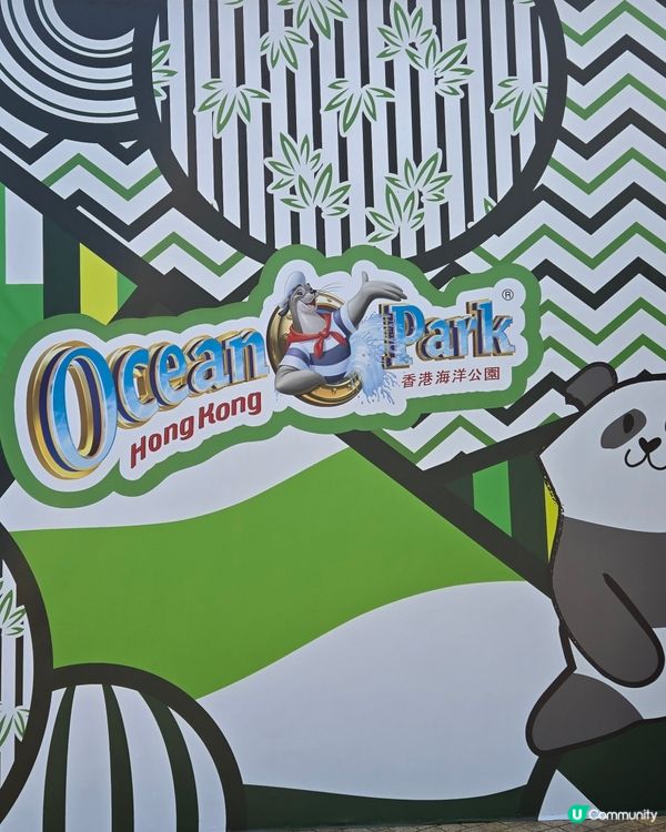 海洋公園🐼大熊貓竹夢之旅