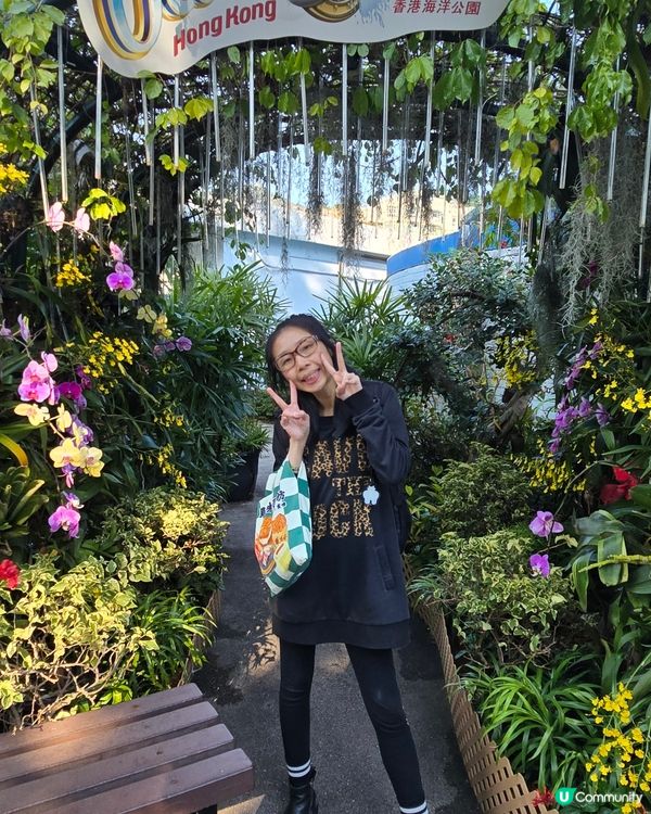 可愛熊貓🐼同金絲🦧