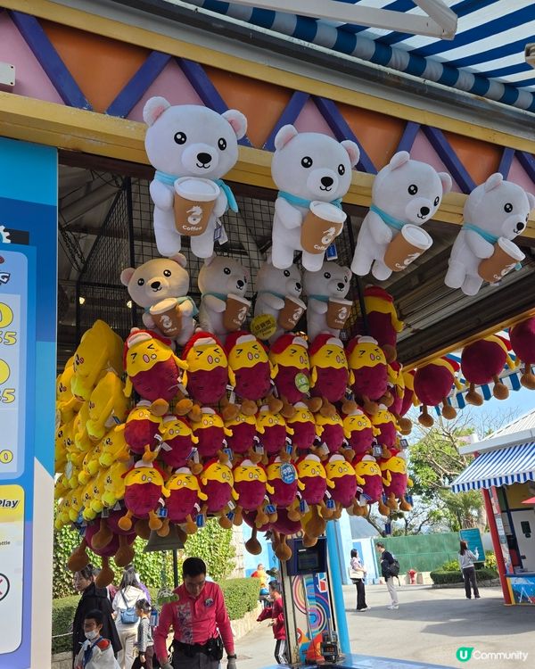 可愛熊貓🐼同金絲🦧