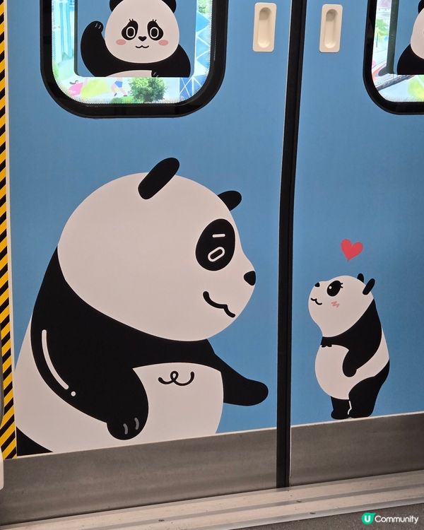 可愛熊貓🐼同金絲🦧