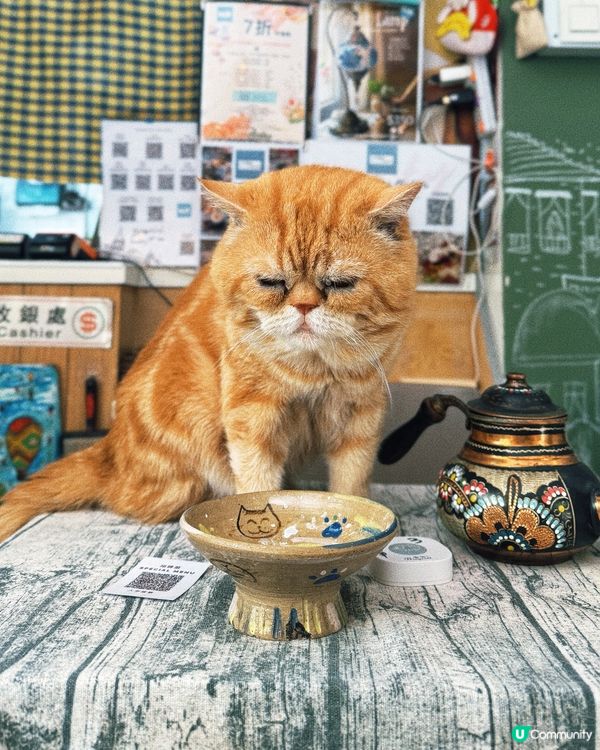 ✣ 馬灣土耳其風情之旅 🇹🇷 ✣