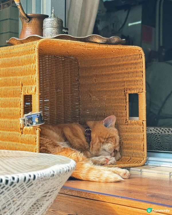 ✣ 馬灣土耳其風情之旅 🇹🇷 ✣