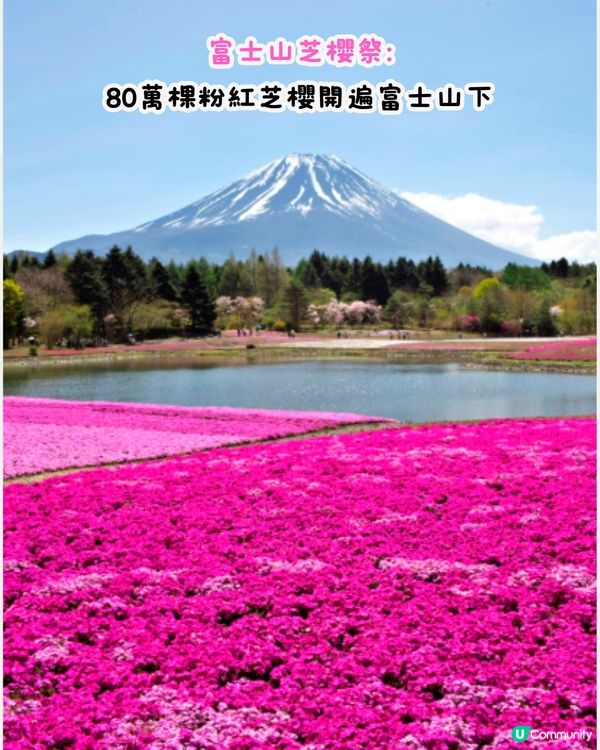 日本2025全年最佳旅遊景點🇯🇵逾20大景點‼️計劃行程必睇