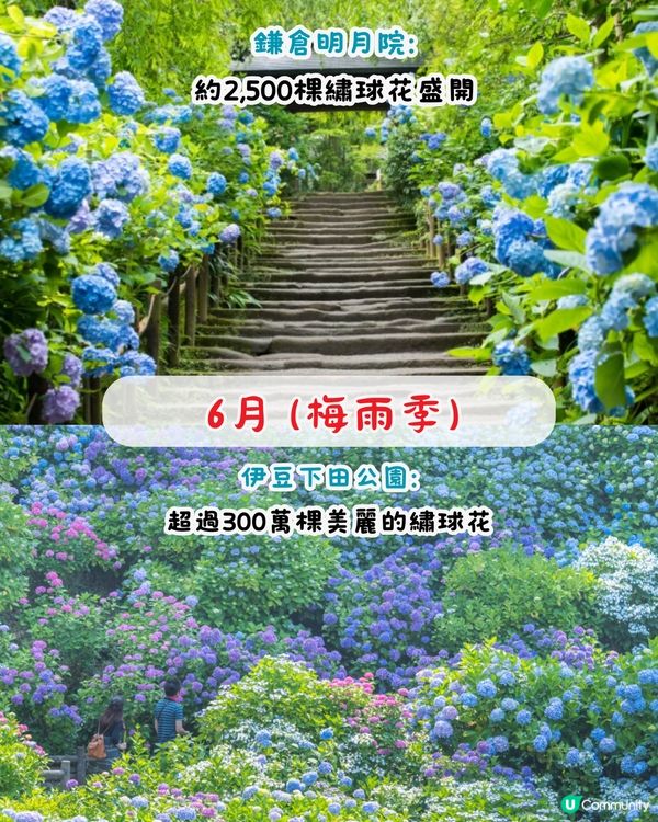 日本2025全年最佳旅遊景點🇯🇵逾20大景點‼️計劃行程必睇