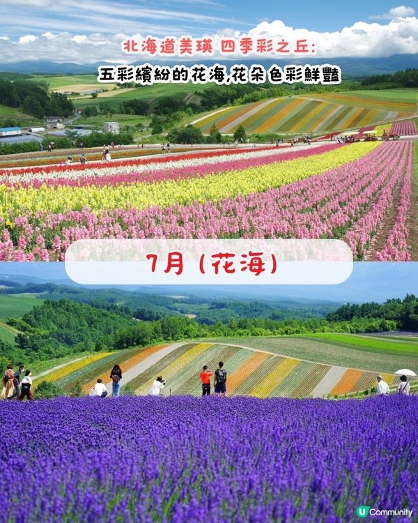 日本2025全年最佳旅遊景點🇯🇵逾20大景點‼️計劃行程必睇