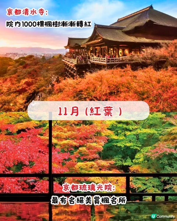 日本2025全年最佳旅遊景點🇯🇵逾20大景點‼️計劃行程必睇