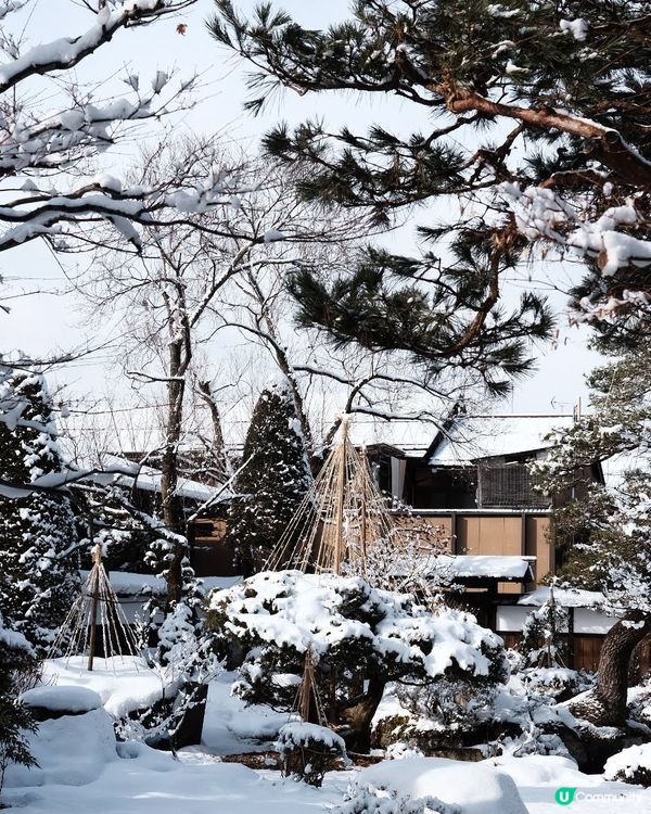 ✨超浪漫冬季之旅!高山陣屋 ❄️ 漫步江戶時代雪景 ❄️
