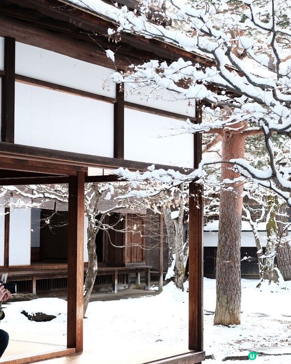✨超浪漫冬季之旅!高山陣屋 ❄️ 漫步江戶時代雪景 ❄️