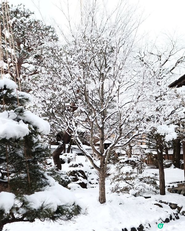 ✨超浪漫冬季之旅!高山陣屋 ❄️ 漫步江戶時代雪景 ❄️