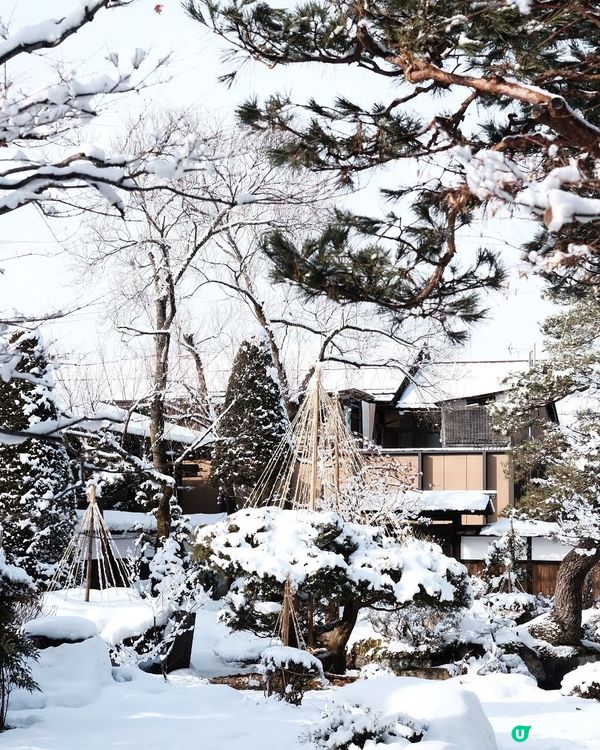 ✨超浪漫冬季之旅!高山陣屋 ❄️ 漫步江戶時代雪景 ❄️
