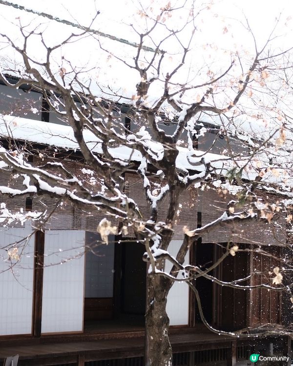 ✨超浪漫冬季之旅!高山陣屋 ❄️ 漫步江戶時代雪景 ❄️