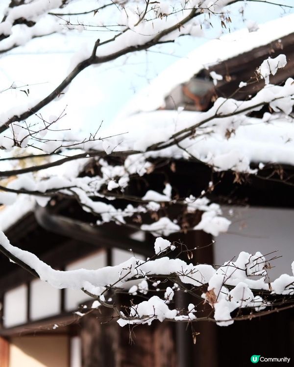 ✨超浪漫冬季之旅!高山陣屋 ❄️ 漫步江戶時代雪景 ❄️
