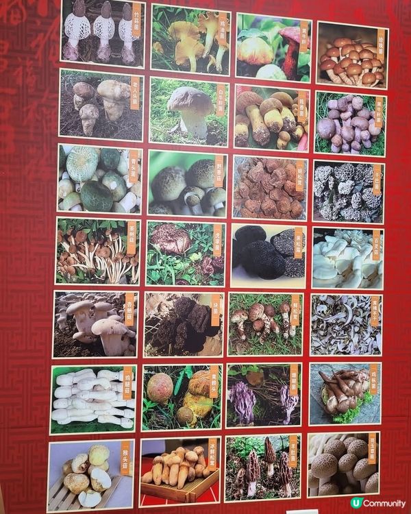 😍😍家鄉新會美食