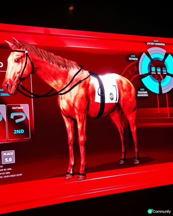 跑馬地快活谷馬場賽馬體驗