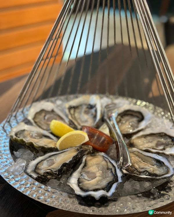 ##食蠔癮起，銅鑼灣嘆鮮味🦪🥂