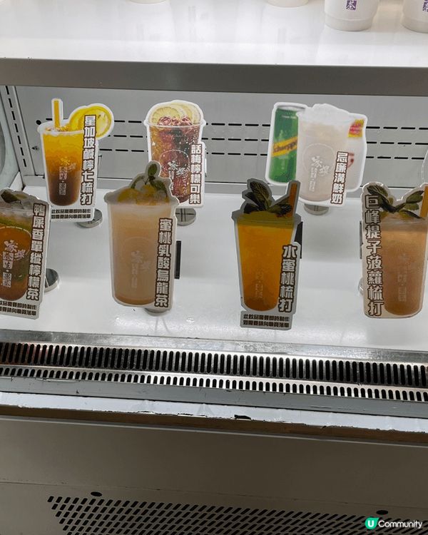 家嫂一家大小任飲任食火鍋，由任點小食開始、再來刺食拼盤、雞煲...