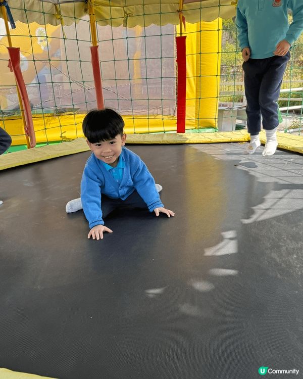 我介紹嘅打卡熱點位於錦上路嘅菠蘿園，入面有好多打卡位仲有得餵...