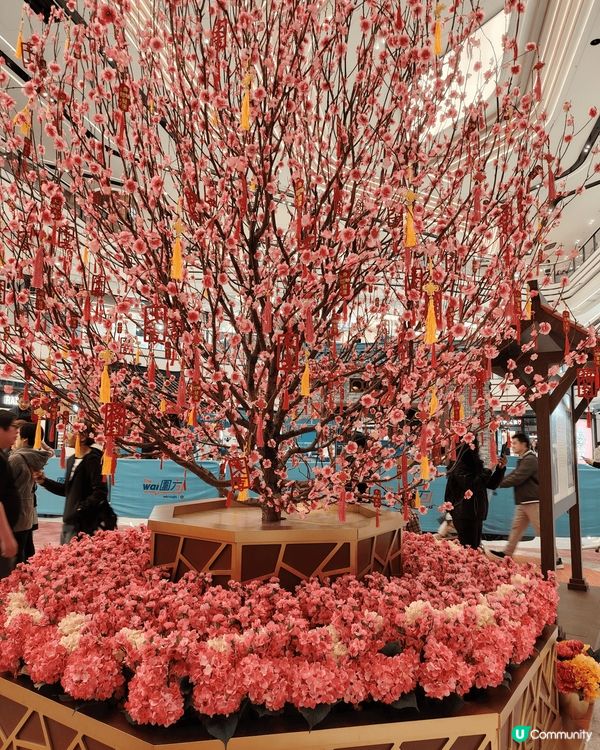 有醒獅,又有車公廟嘅風車,轉來好運，另有桃花 ，大棵桃花，帶...