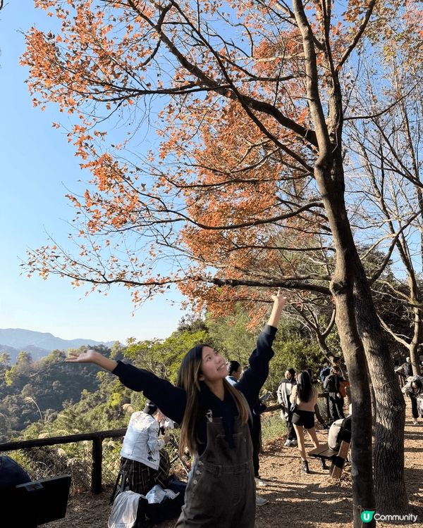 抓緊紅葉的尾巴～ 去咗大棠楓香林睇紅葉🍁 宜家去啲楓葉真係全...