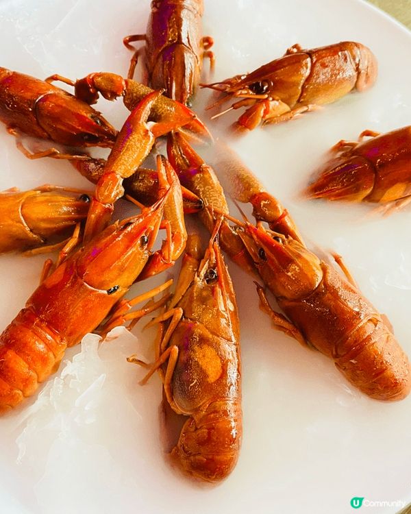 第一次去試左深圳小龍蝦天花板-紅盔甲，果然真係好好味，小龍蝦...