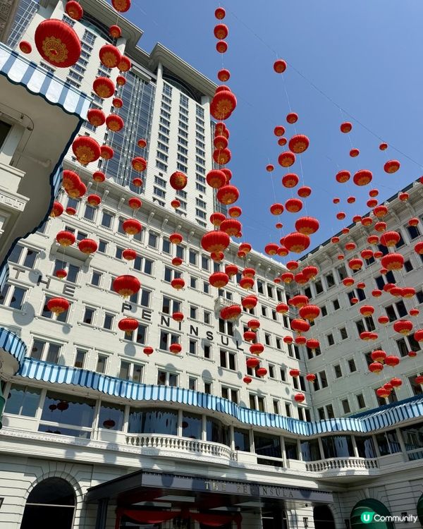 🏨《半島酒店》隨影🏨