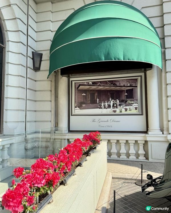 🏨《半島酒店》隨影🏨