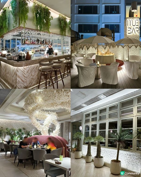 新派泰國餐廳登場 🌴  摩登氣派，宴客首選！