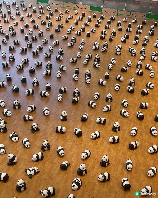 荃灣愉景新城800隻熊貓🐼