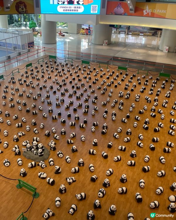 荃灣愉景新城800隻熊貓🐼