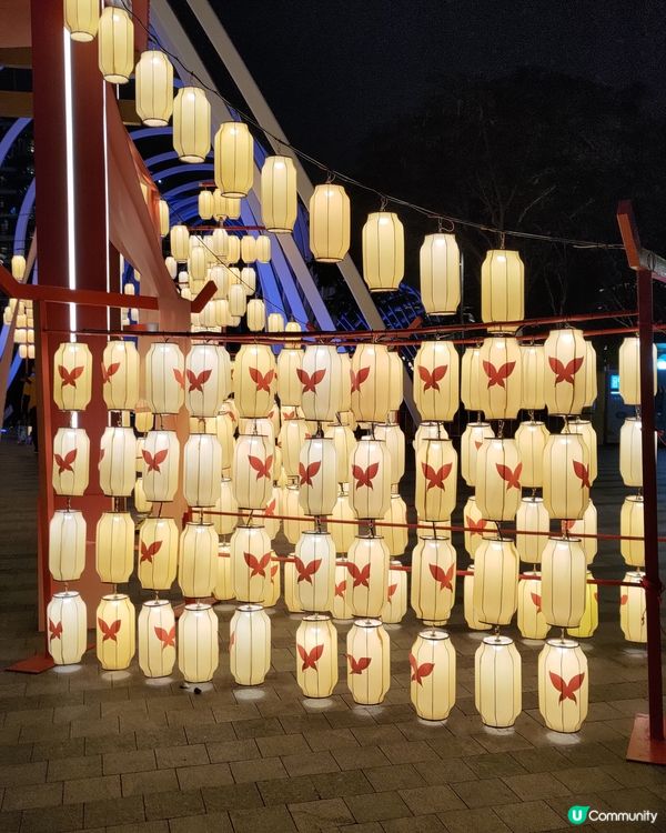 ## 深圳必去打卡熱點🎡歡樂海灣超靚燈飾🤩💜