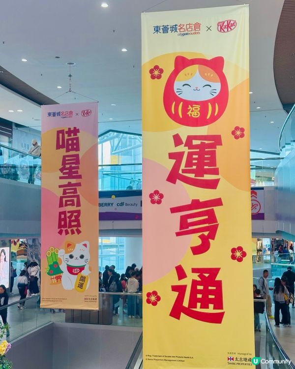 新年｢喵｣好運都有,見到呢個4米高開運招財貓,手手揮動咁可愛...