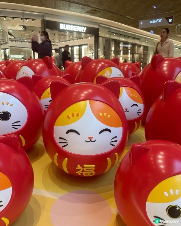 新年｢喵｣好運都有,見到呢個4米高開運招財貓,手手揮動咁可愛...