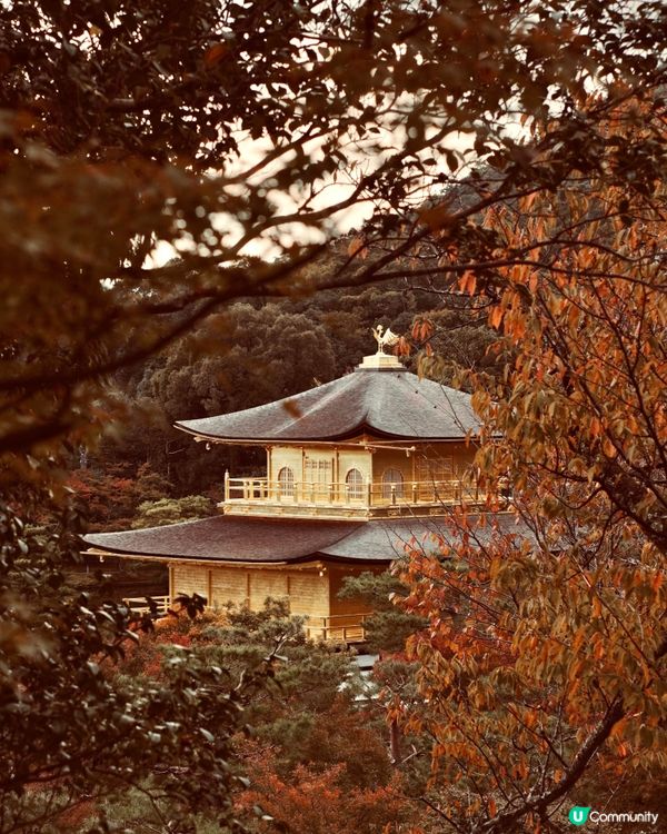 京都之旅：金閣寺與清水寺的邂逅