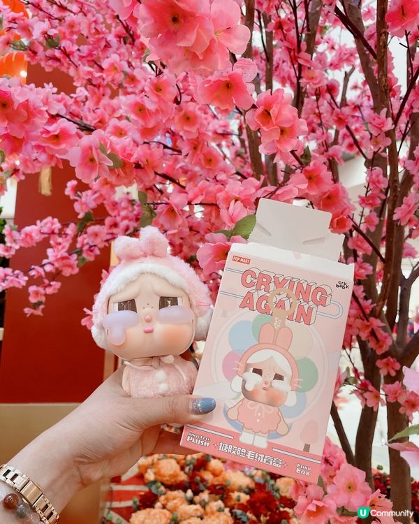 盲盒開箱！粉紅哭哭兔🐰💖