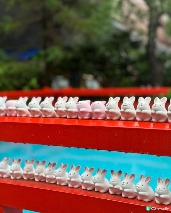 京都必去！可愛爆燈嘅岡崎神社🐰💖