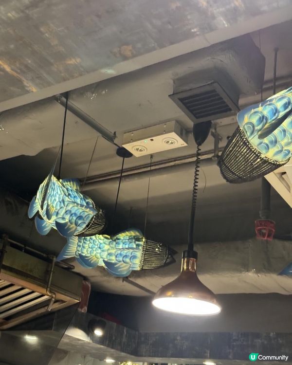 香港探店 日式海鮮，生蠔吃到飽