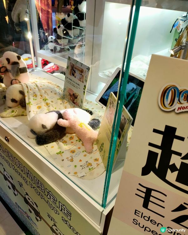 🐼 熊貓Pop up store！家姐細佬超可愛！