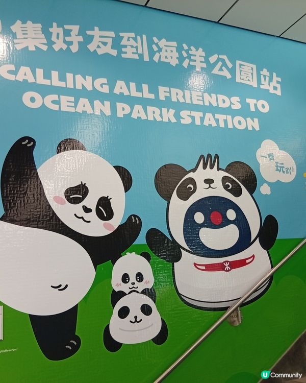  🐼 港鐵海洋公園站變身大熊貓站！打卡位勁多！