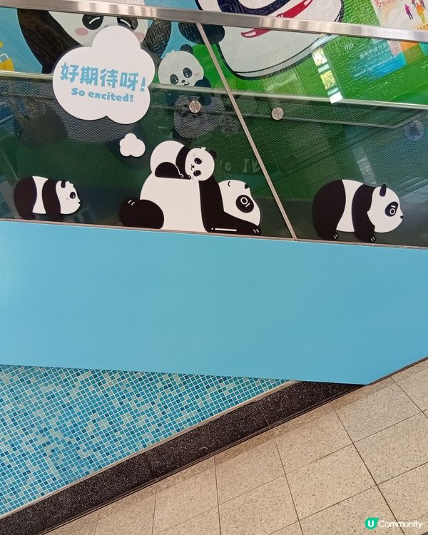  🐼 港鐵海洋公園站變身大熊貓站！打卡位勁多！