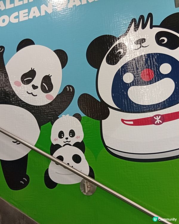  🐼 港鐵海洋公園站變身大熊貓站！打卡位勁多！