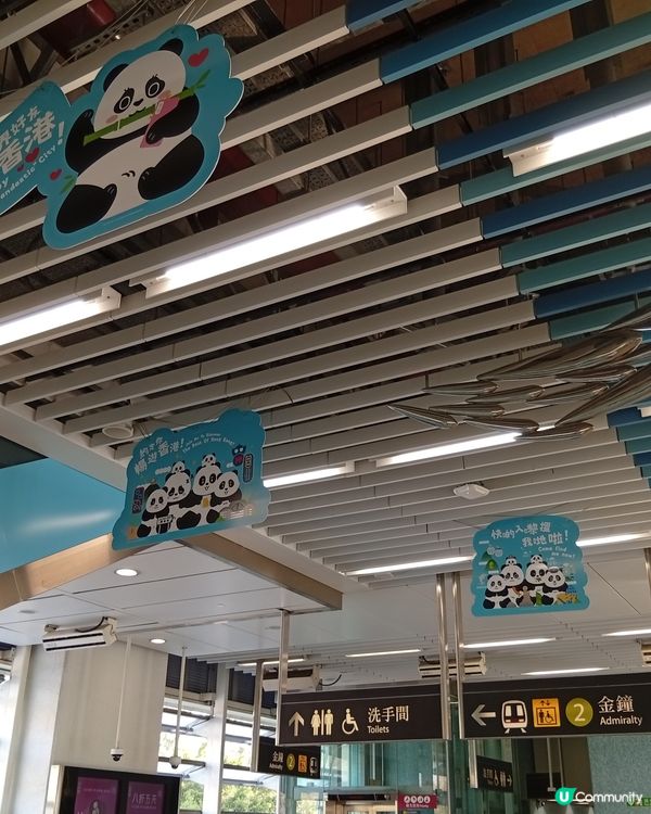 🐼 港鐵海洋公園站變身大熊貓站！打卡位勁多！