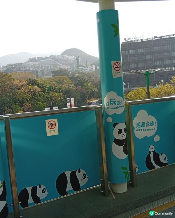  🐼 港鐵海洋公園站變身大熊貓站！打卡位勁多！