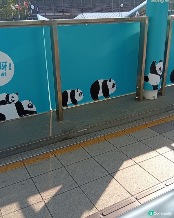 🐼 港鐵海洋公園站變身大熊貓站！打卡位勁多！