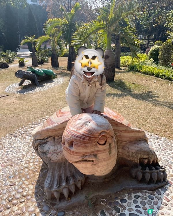 帶小朋友認識爬蟲🦎類