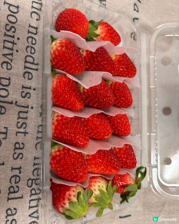 韓國士多啤梨,味道又真係唔錯,同日本嘅士多啤梨有種截然不同嘅...