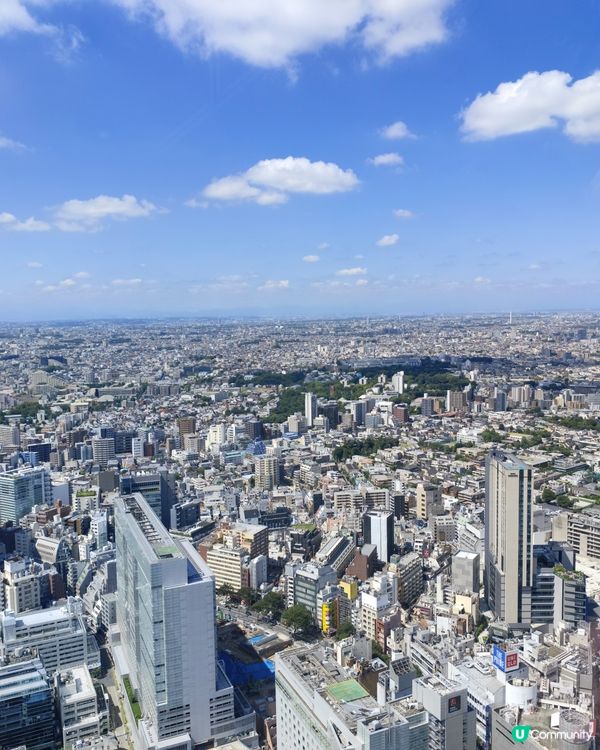 美得過份的東京Shibuya Sky😍😍