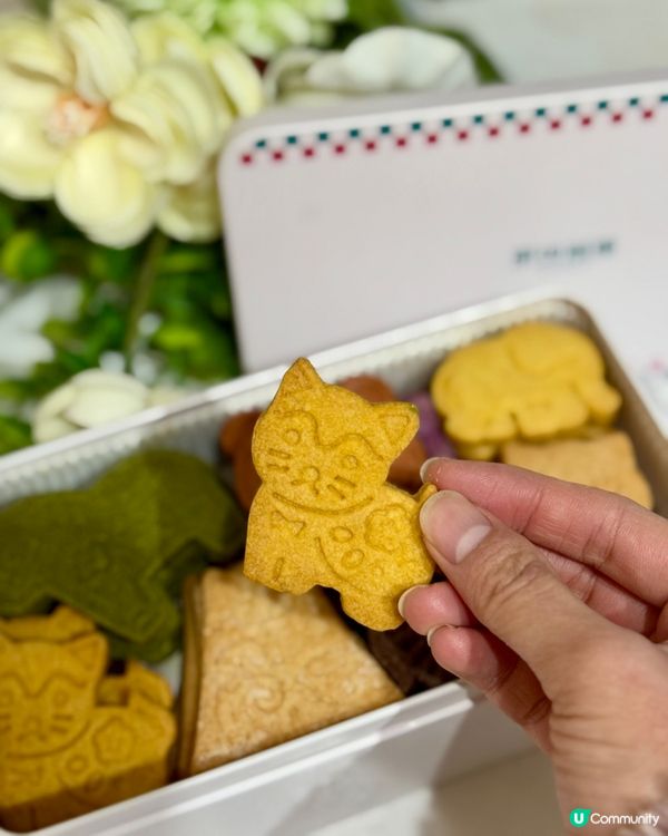 可愛動物曲奇🥰