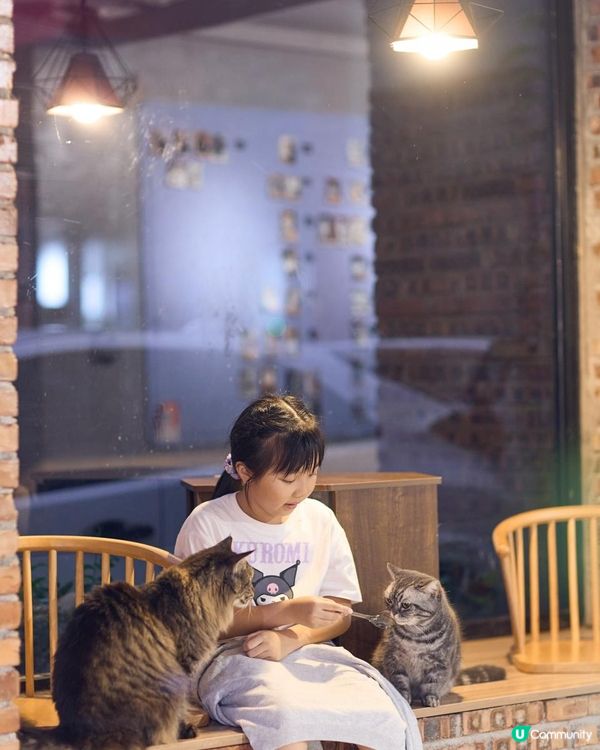 {港車北上｝珠海親子好去處🐱貓cafe 