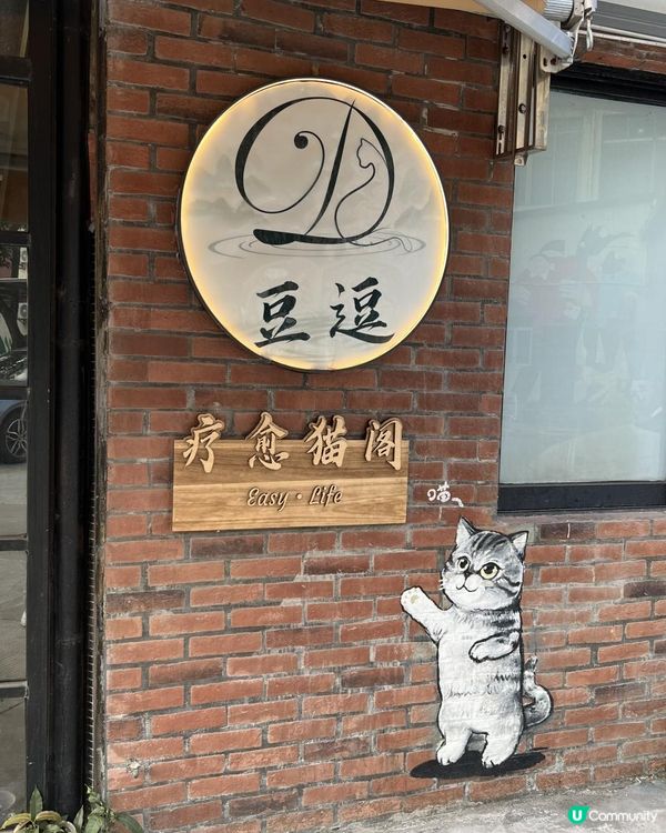 {港車北上｝珠海親子好去處🐱貓cafe 
